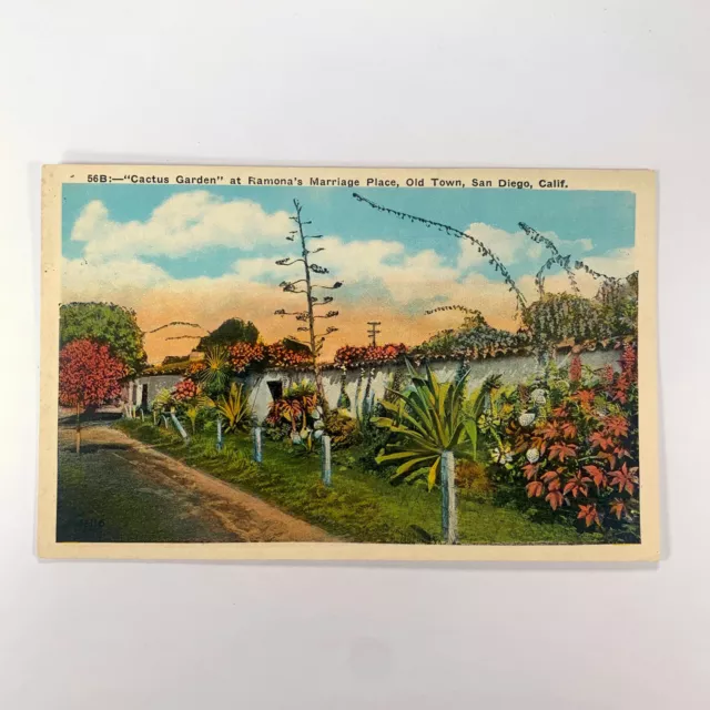 Postcard California San Diego CA Ramona Marriage Place Cactus Garden 1920s
