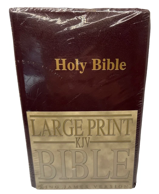 HOLY BIBLE KJV King James Version ICC Large Print New Sealed $21.95 ...