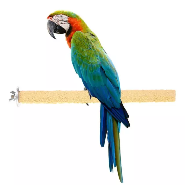 Colorful Pet Bird Cage Perches Stand Platform Paw Grinding Clean Chew Toy AU 2