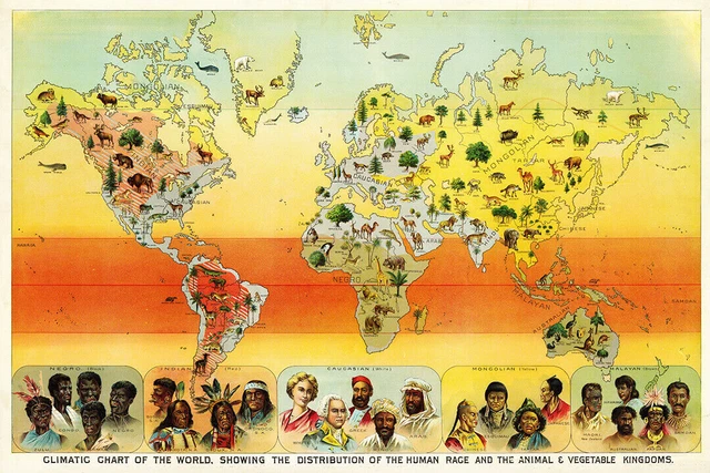 365086 Climatic Chart of the World Vintage Map Art Decor Print Poster UK