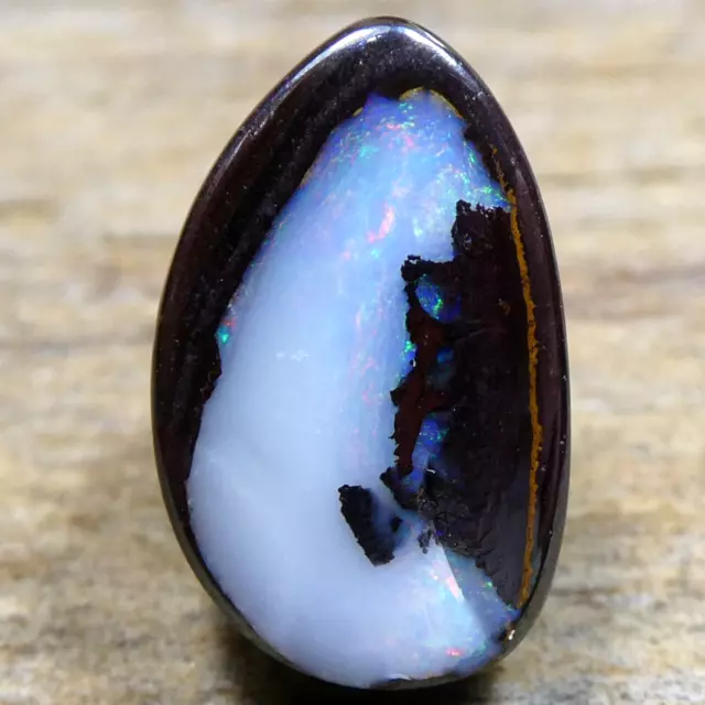 3.20 CT Australian Boulder Opal Koroit Nut Polished Gemstone Oval Loose Video