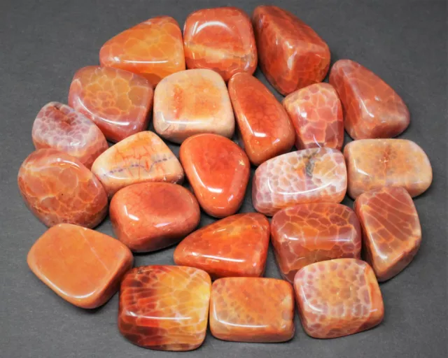 1/4 lb Bulk Lot Fire Agate Tumbled Stone: Crystal Healing Reilki Gemstone 4 oz