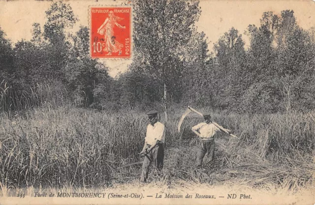 Cpa 95 Foret De Montmorency / La Moisson Des Roseaux