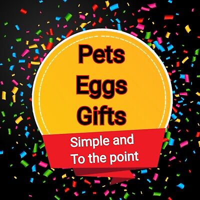 Pets, Eggs, Gifts individuals & bundles