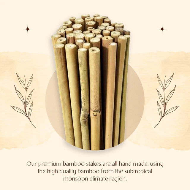 Cane Reed Mat Screen BAMBOO CANE SLAT Reed Screening Roll Garden Fencing Panel Outdoor ...