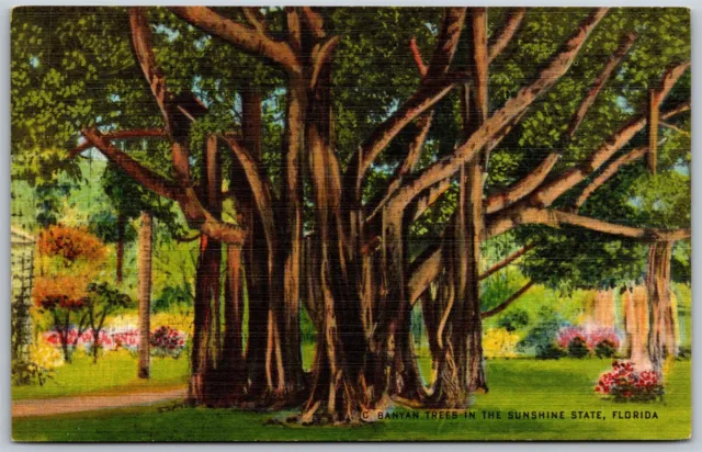 Vtg Florida FL Large Banyan Tree In The Sunshine State 1930s Linen View Postcard