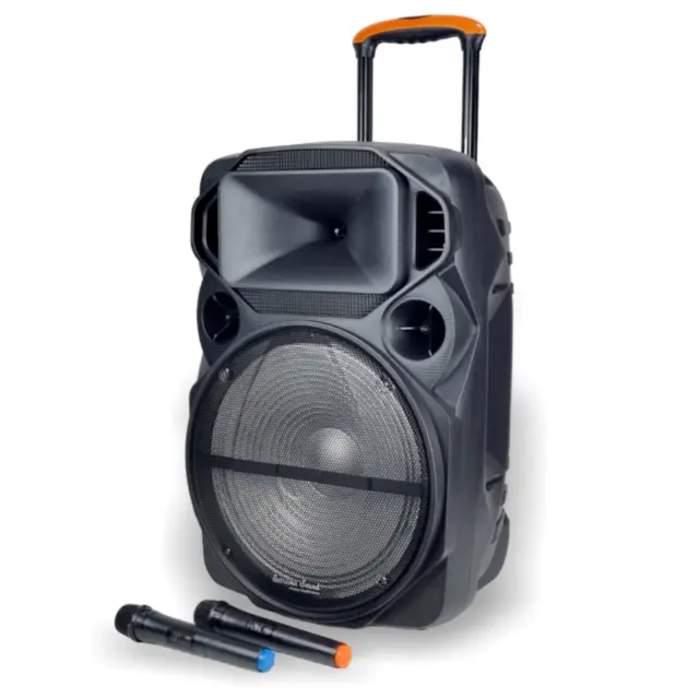 Cassa Portatile Ricaricabile Trolley Amplificata 1000Watt Bluetooth Radio Usb Xl