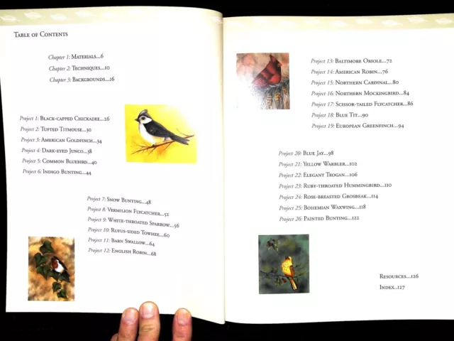 Painting Birds Step by Step Book by Nancy Dale Kinney (Paperback) New 3