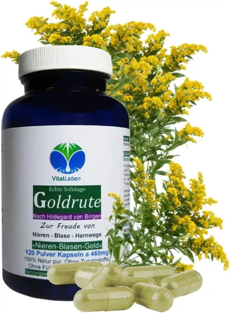 Echte Goldrute Solidago 120 Kräuter Kapseln nach Hildegard von Bingen. 26935-120