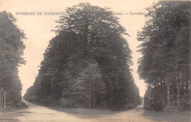 61-BAGNOLES-DE-L'ORNE-Foret d Andaine-N 6004-A/0057