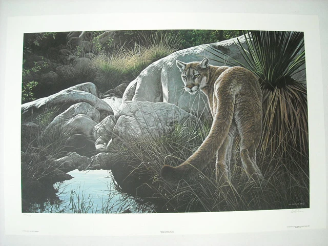 Ron Parker Creekside Cougar Mountain Lion Signed Limited Edition Art Print