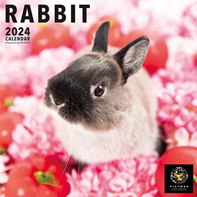 WALL CALENDAR 2024 Rabbit Pictwan Japan 59 x 29 cm L032 Animal 39.99