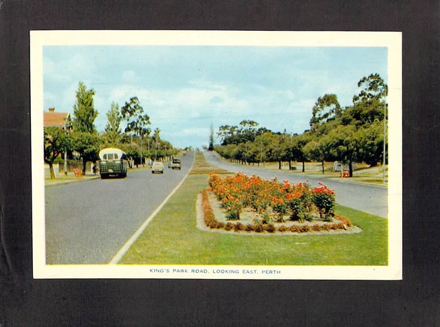 Kings Rd Wa C9542 AUSTRALIA WA Perth Kings Park Road looking East vintage postcard ...