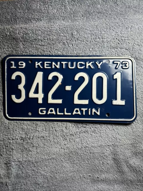 1973 Gallatin County Kentucky License Plate 342-201