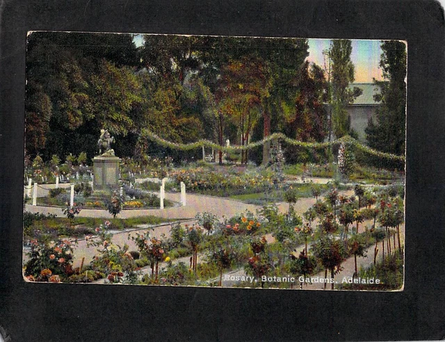 D0155 Australia SA Adelaide Botanic Gardens Rosary pu1906 vintage postcard
