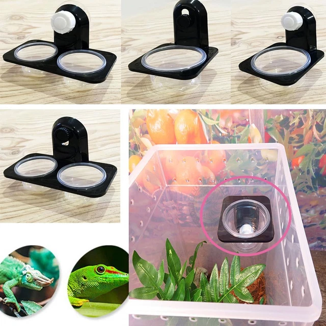 Wall Sucker Food Dispenser Water Bowl Reptiles Feeding Tool Insect Breeding