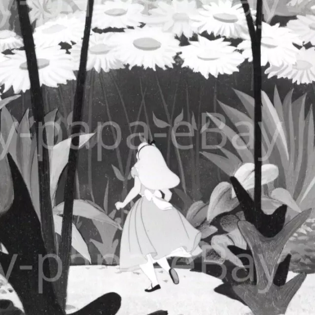 1951 Alice In Wonderland Kathryn Beaumont J. Pat O'Malley Verna Felton Photo #47