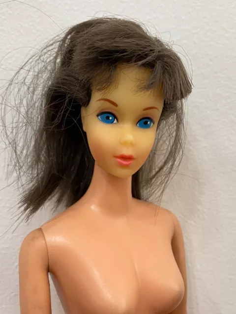 Vintage Brunette Tnt Mod Era Barbie Doll