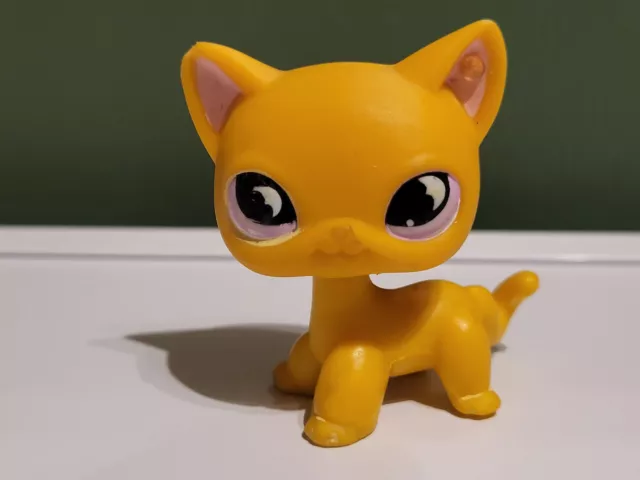 Lps #855 Littlest Petshop Original Authentic Chat Europeen European Cat Hasbro