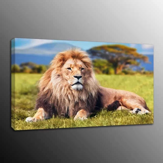 Canvas Print Painting Wall Art Modern Animals Lion Picture Home Decor Framed