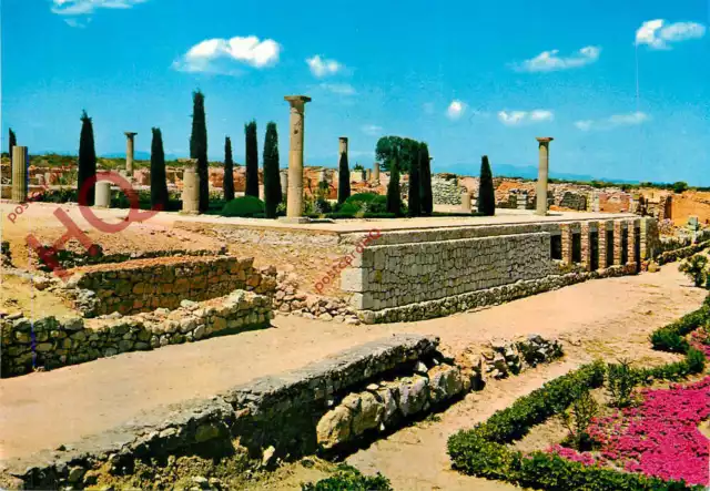 Picture Postcard; Ampurias, Vista De La Casa Romana No. 1