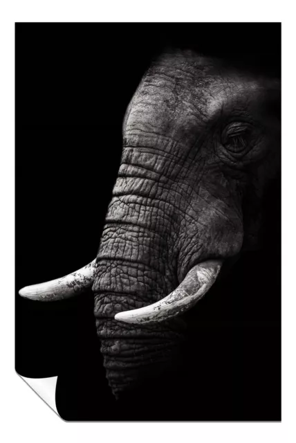 Old Wrinkled Elephant Portrait Artistic Poster Wall Art Home Decor