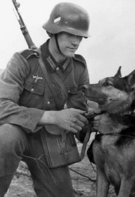 WW2 WWII Photo German Soldier with German Shepherd Dog   World War Two / 2676