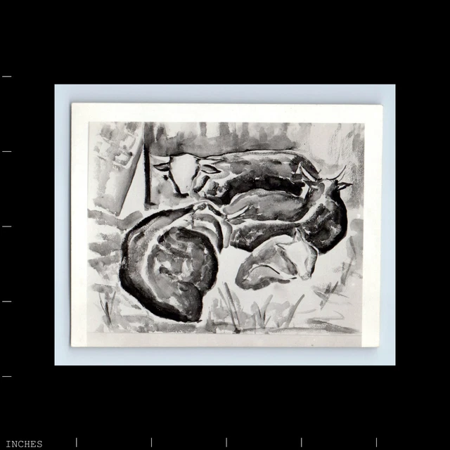 Old Vintage Photo ABSTRACT PHOTO OF PAINTING OF COWS BULLS
