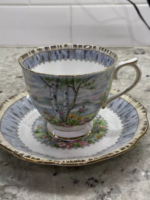 Royal Albert "Silver Birch" Bone China Teacup And Saucer Lot (8 Sets, 16pcs)