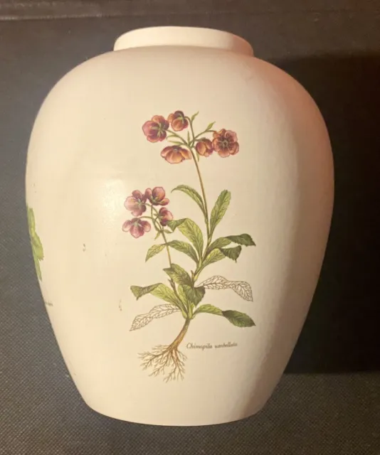 Poole Pottery Country Lane Vase - 16cm Tall