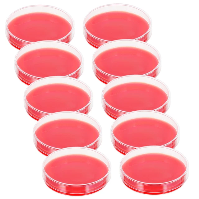 Lot De 10 Boîtes De Petri Préremplies Avec Agar - Pour Cultures Microbiennes, Projets Scientifiques Scolaires - Diamètre 70 Mm
