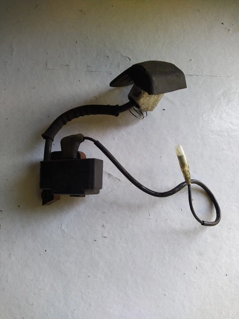 Module bobine d'allumage taille-haie, pièce de rec... – Grandado