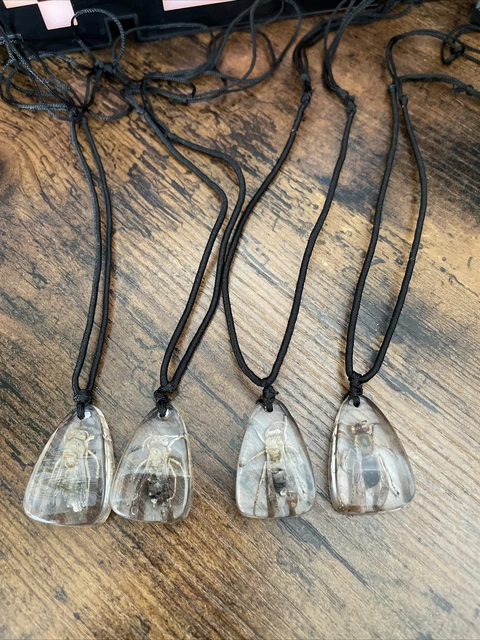 Insect Bug Beetle In Resin With Black Adjustable Necklace Entomology Taxidermy