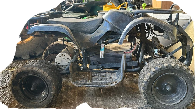 electric quad bikes for kids