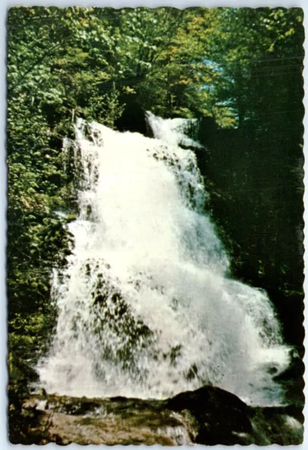 Postcard - Waterfalls Along the Turkey Path at Leonard Harrison State Park, PA