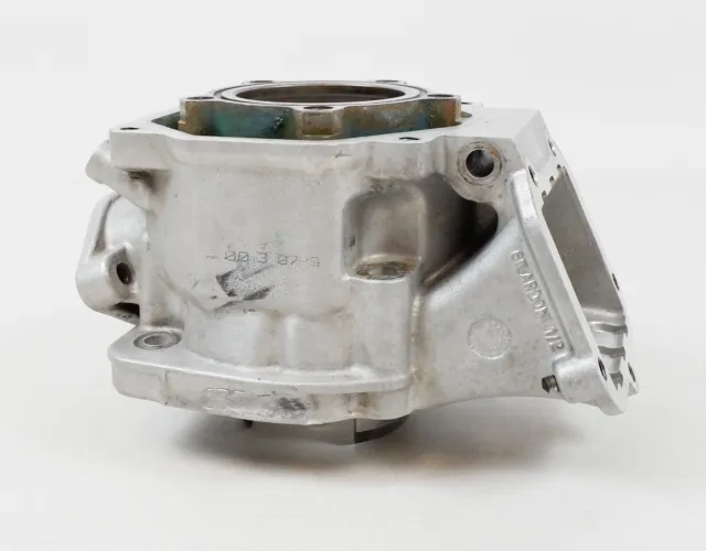 Junior Rotax Max FR125 Pre-EVO Kart 09 Engine Barrel / Cylinder