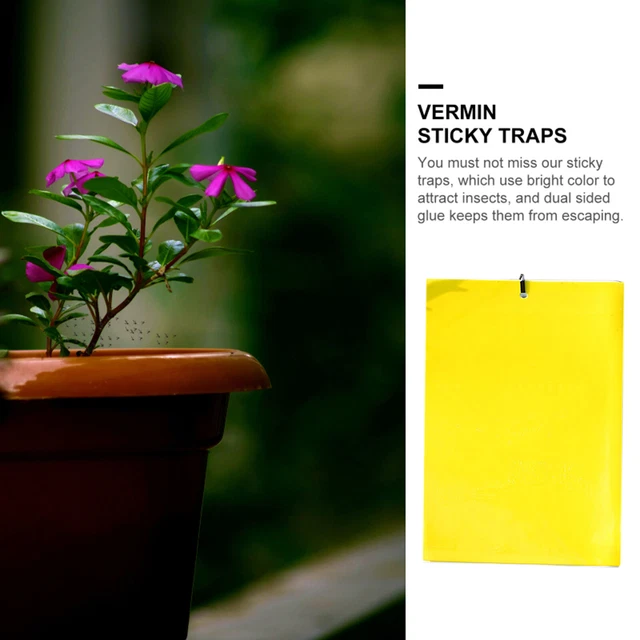 Sticky Traps - 20 Pieces Fly Paper Sticker for Indoor House Plant Gnat Control *