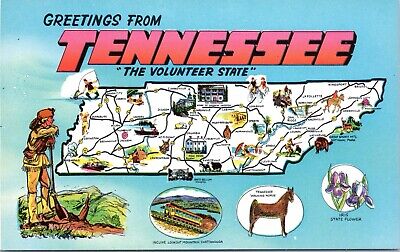 Greetings from Tennessee - Map - Vintage Chrome Postcard - Volunteer State