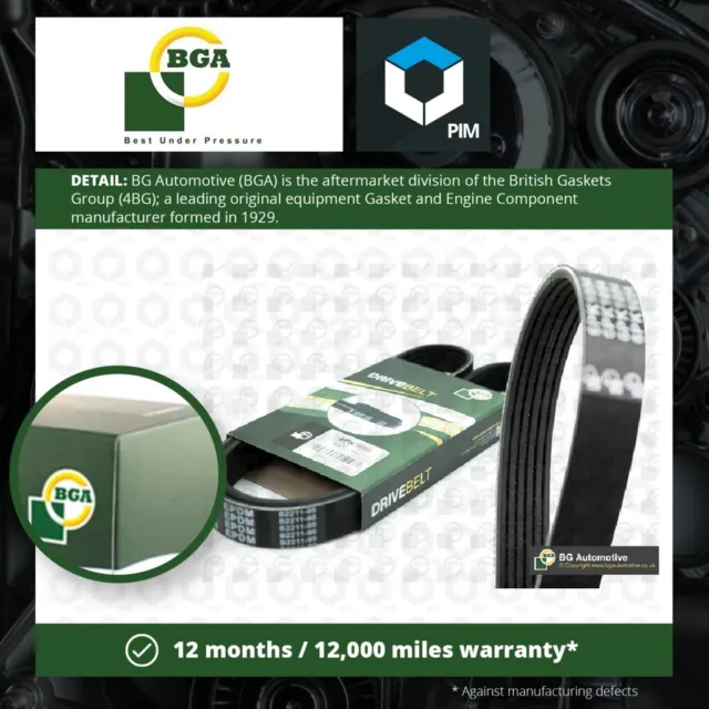 6 Rib Multi V Drive Belt fits NISSAN BGA Genuine Top Quality Guaranteed New