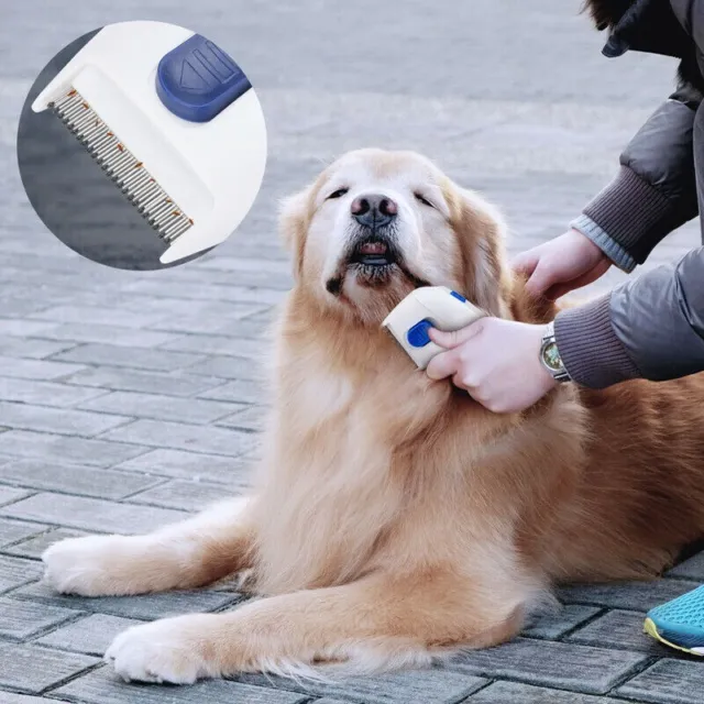 Electric Flea Zapper Lice Remover Hair Comb Brush for Pet Cat Dog Cleaning Tool 2
