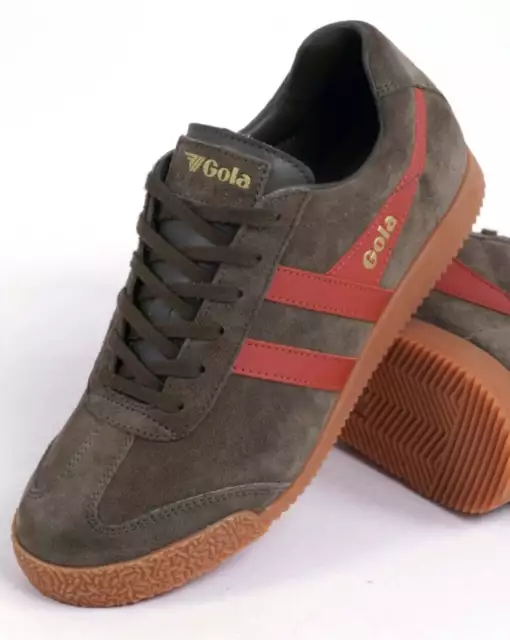 Gola harrier 50 top trainer