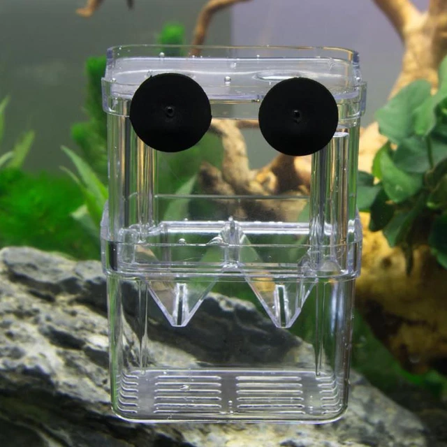1xFish Breeding Box Shrimp Hatchery Fish Tank Incubator Isolation Aquarium N6P0