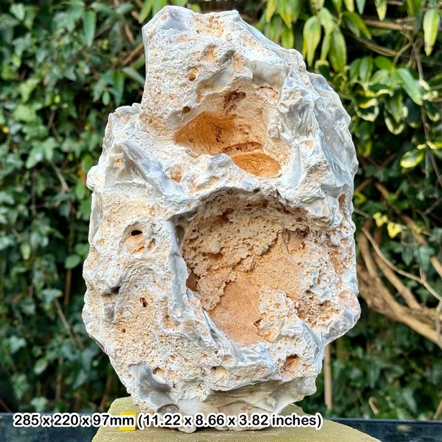 FOSSIL SPONGE IN Flint, Grey Chalk Subgroup, Cretaceous, White Nothe