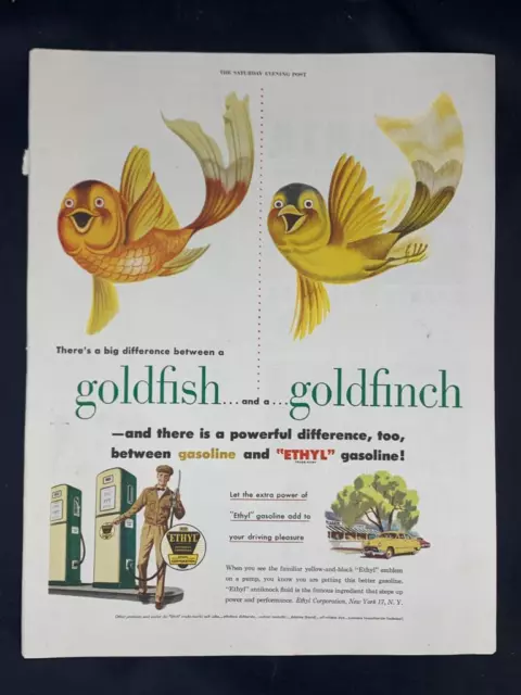 Magazine Ad* - 1951 - Ethyl Gasoline - GOLDFISH AND GOLDFINCH