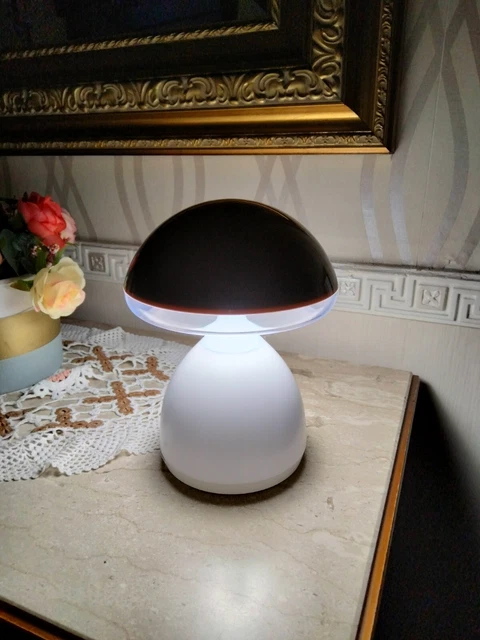 Lampada Da Tavolo a led per scrivania e comodino  ricaricabile notturna  RGB usb