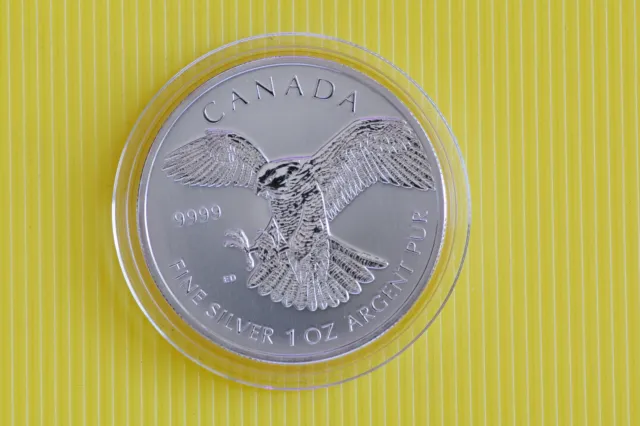 2014 1oz Silver Peregrine Falcon Birds of Prey Series Canada 5 Dollars (2209)