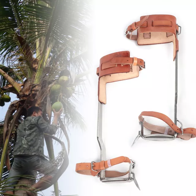 Stainless Steel Tree Climbing Spike/ Spur Pair Cattle Hide Safety Climbing Tools