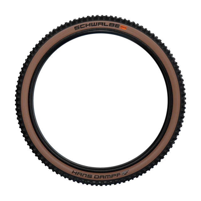 Schwalbe Ice Spiker Pro Vouwband - Performance | Winter | DD - Race Guard | TLEasy - E-25 - 29x2 Schwalbe Ice Spiker Pro Vouwband - Performance | Winter | DD - Race Guard | TLEasy - E-25 - 29x2
