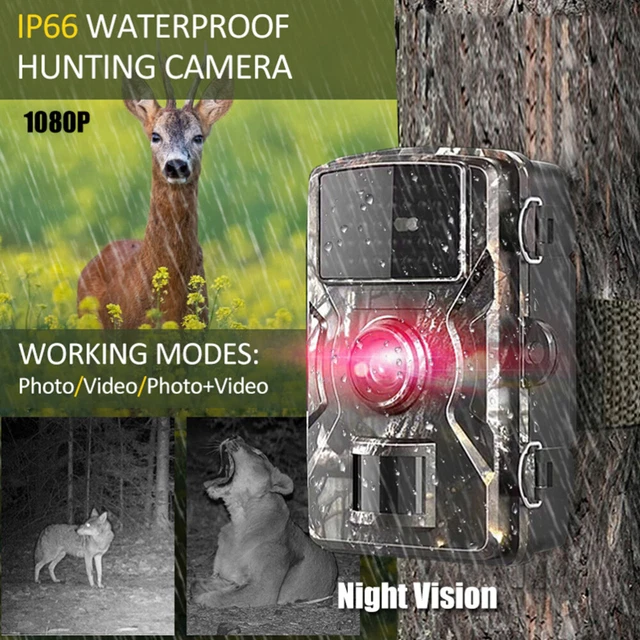 Caméra De Chasse 1080P Avec Vision Nocturne – Parfaite Pour L'observation Des Animaux En Pleine Nature !