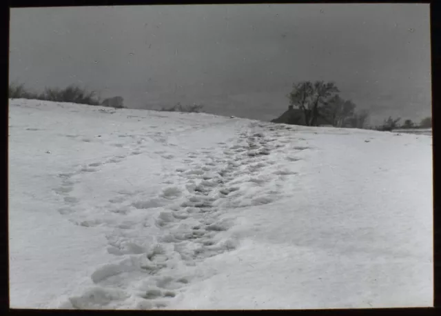 A MORLAND PASTURE SNOW STUDY C1910 PHOTO Magic Lantern Slide J J HARTLEY COLNE